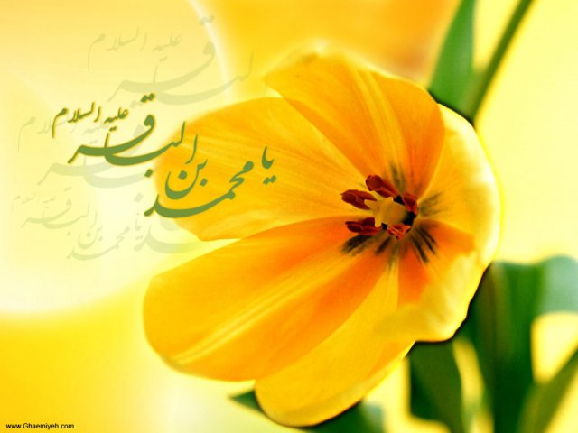 http://www.ghaemiyeh.com/images/phocagallery/wallpapers/imambagher/thumbs/phoca_thumb_l_007%20(9).jpg
